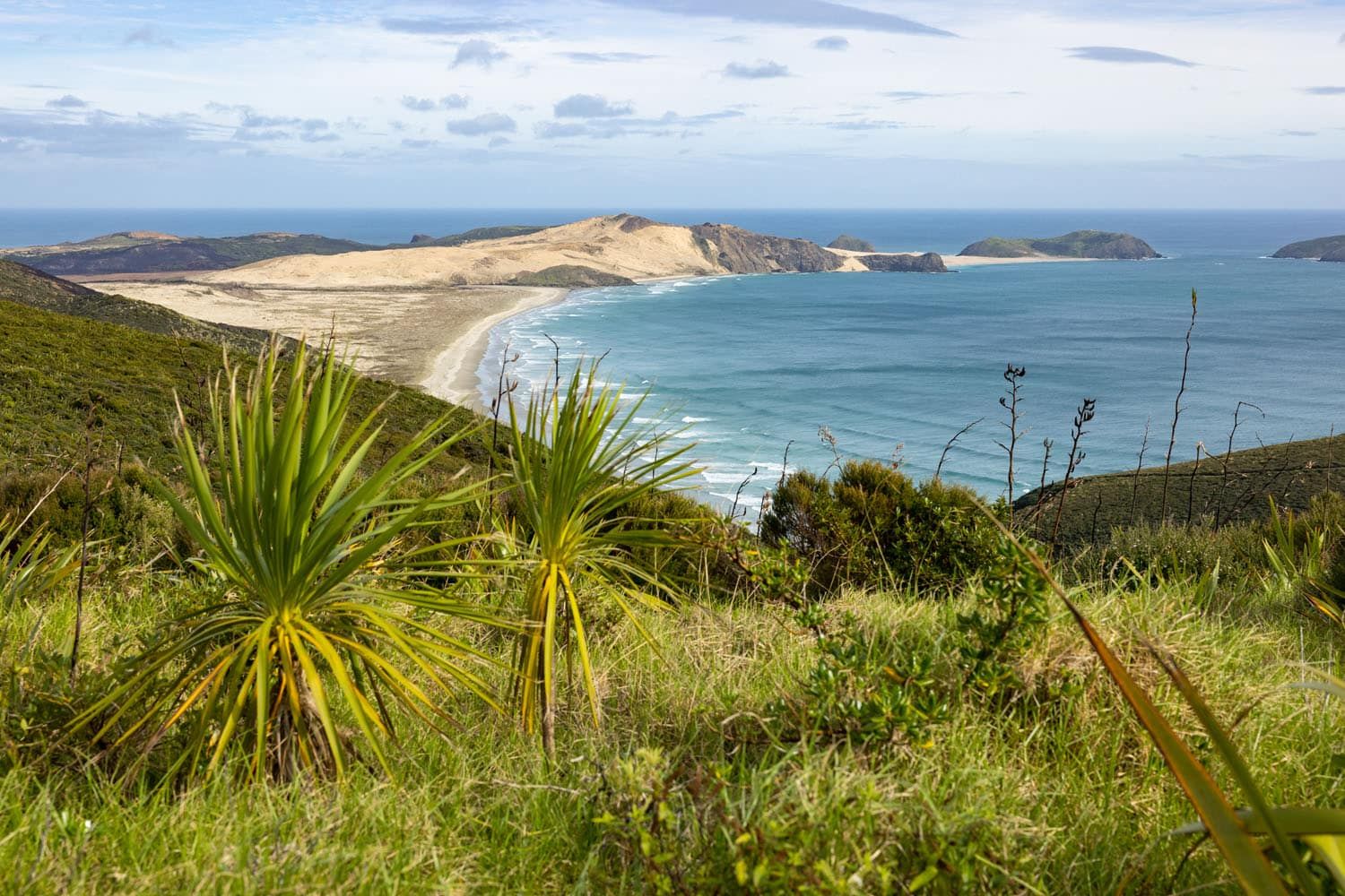 Cape Reinga