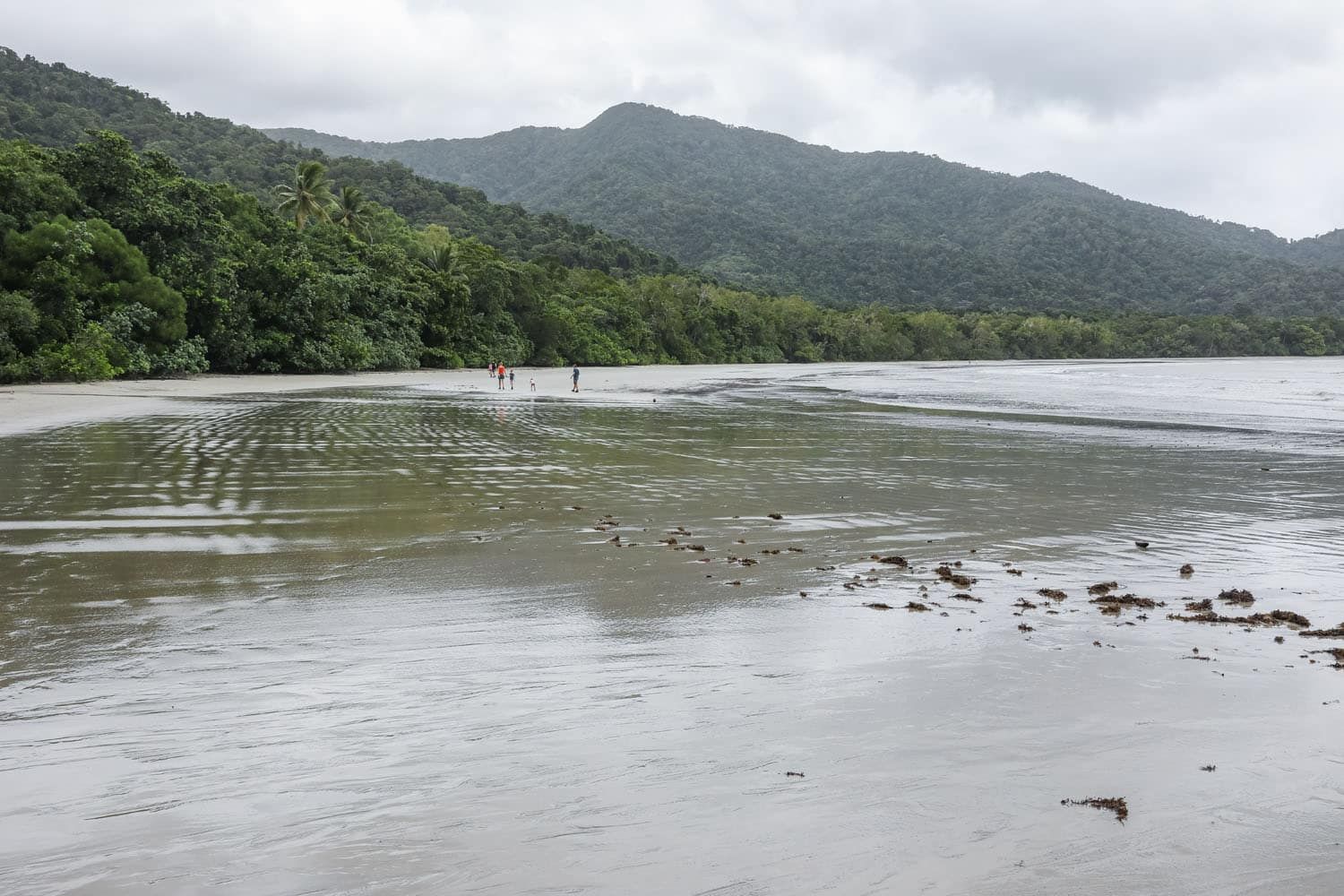 Cape Tribulation Beach