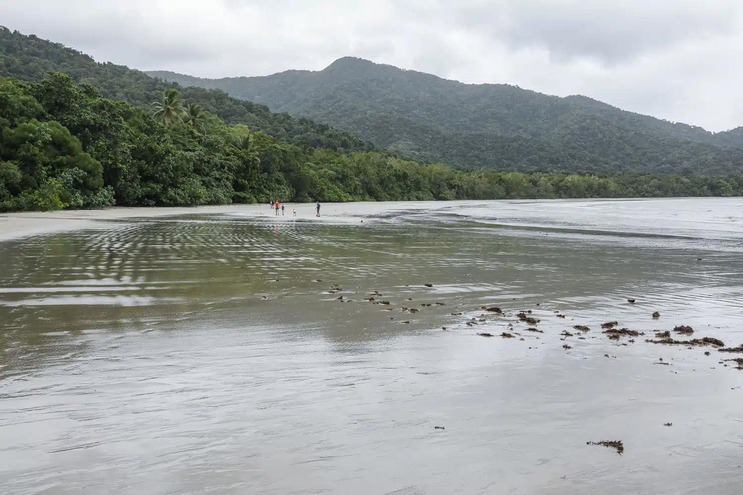 Cape Tribulation Beach