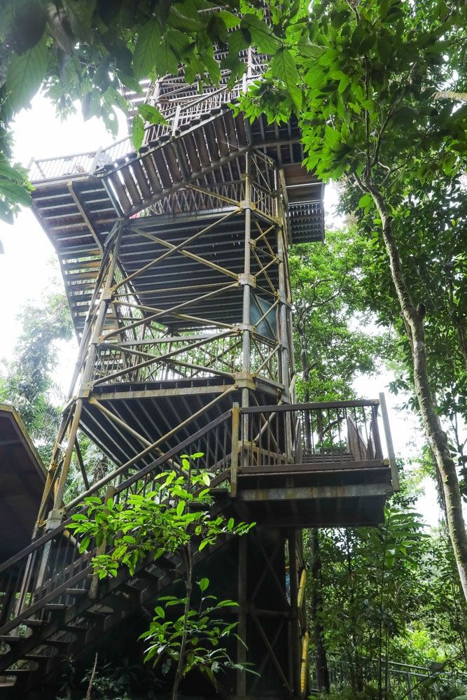 Daintree Discovery Centre Lookout | Daintree National Park