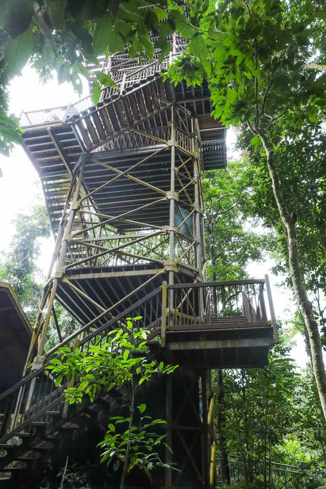 Daintree Discovery Centre Lookout