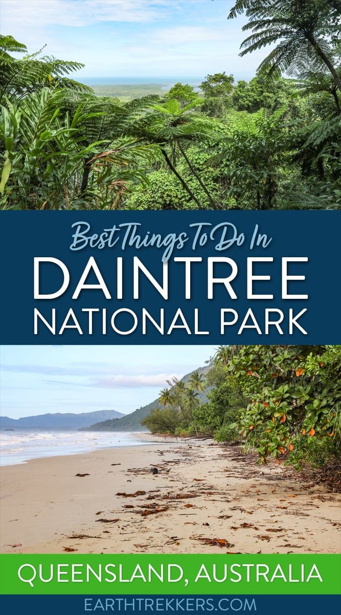 Daintree National Park Queensland Australia