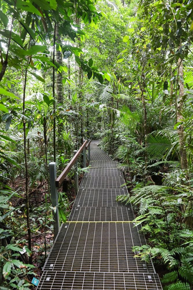 Discovery Centre Walkway