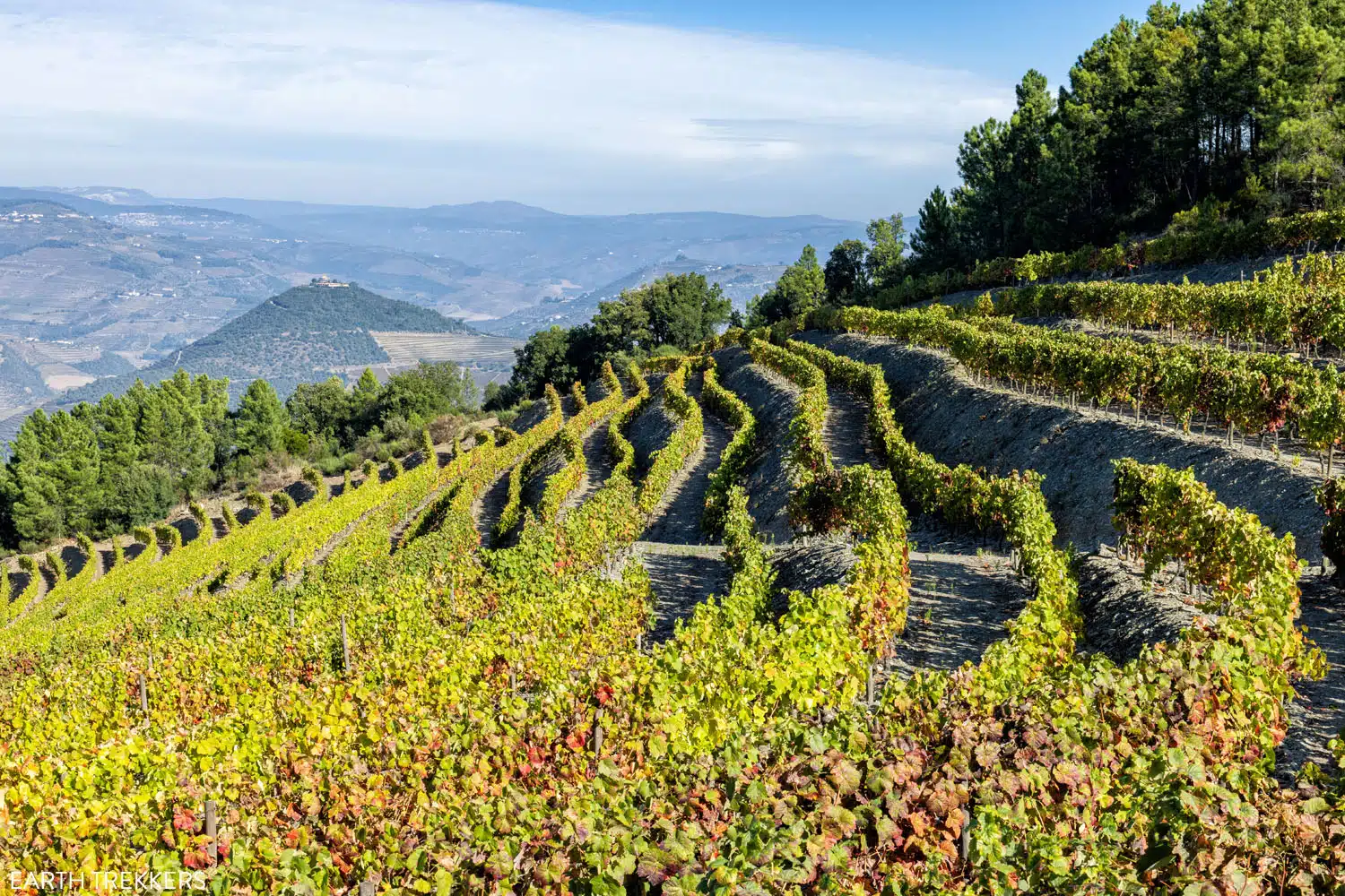 Douro Valley Portugal