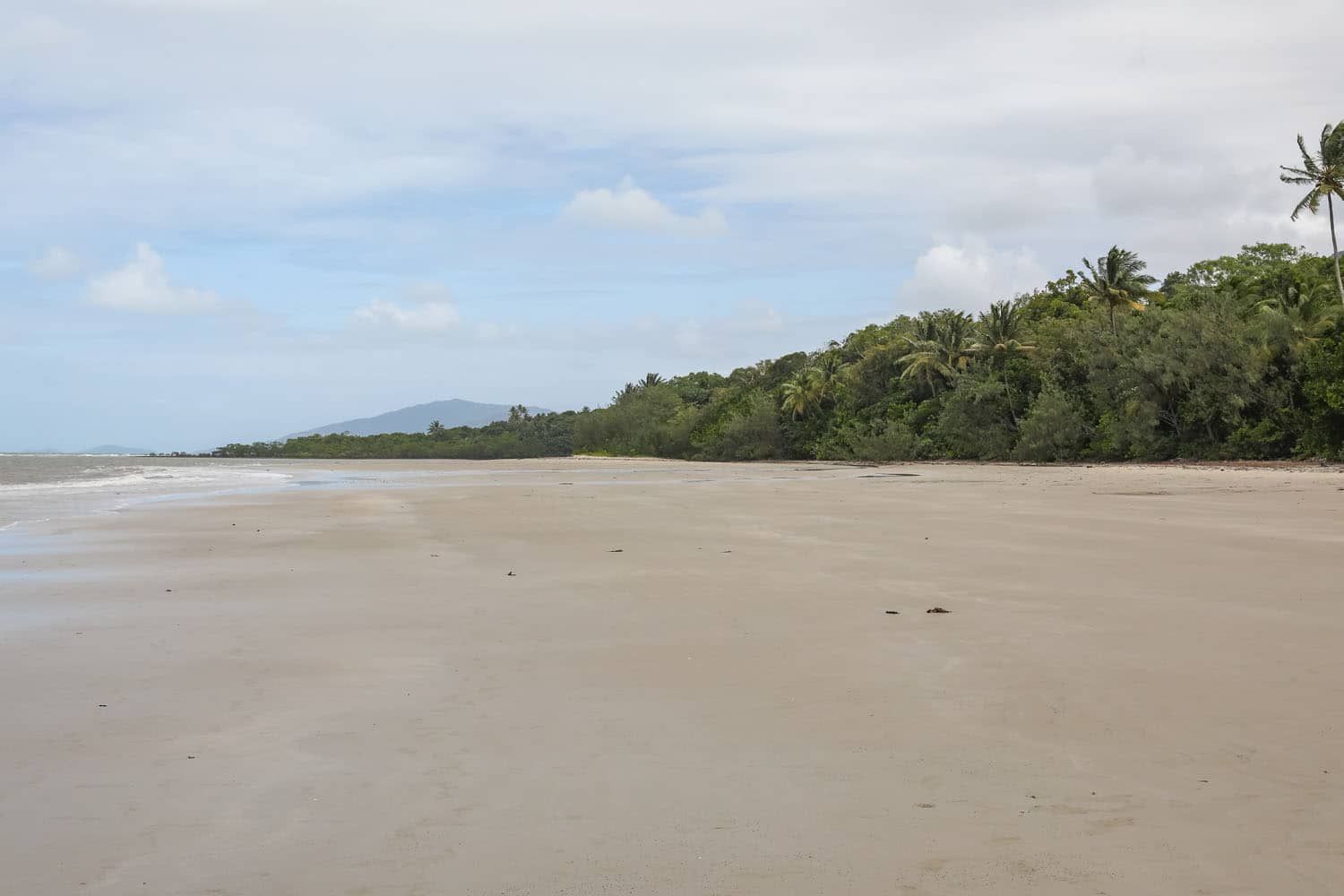 Myall Beach Daintree