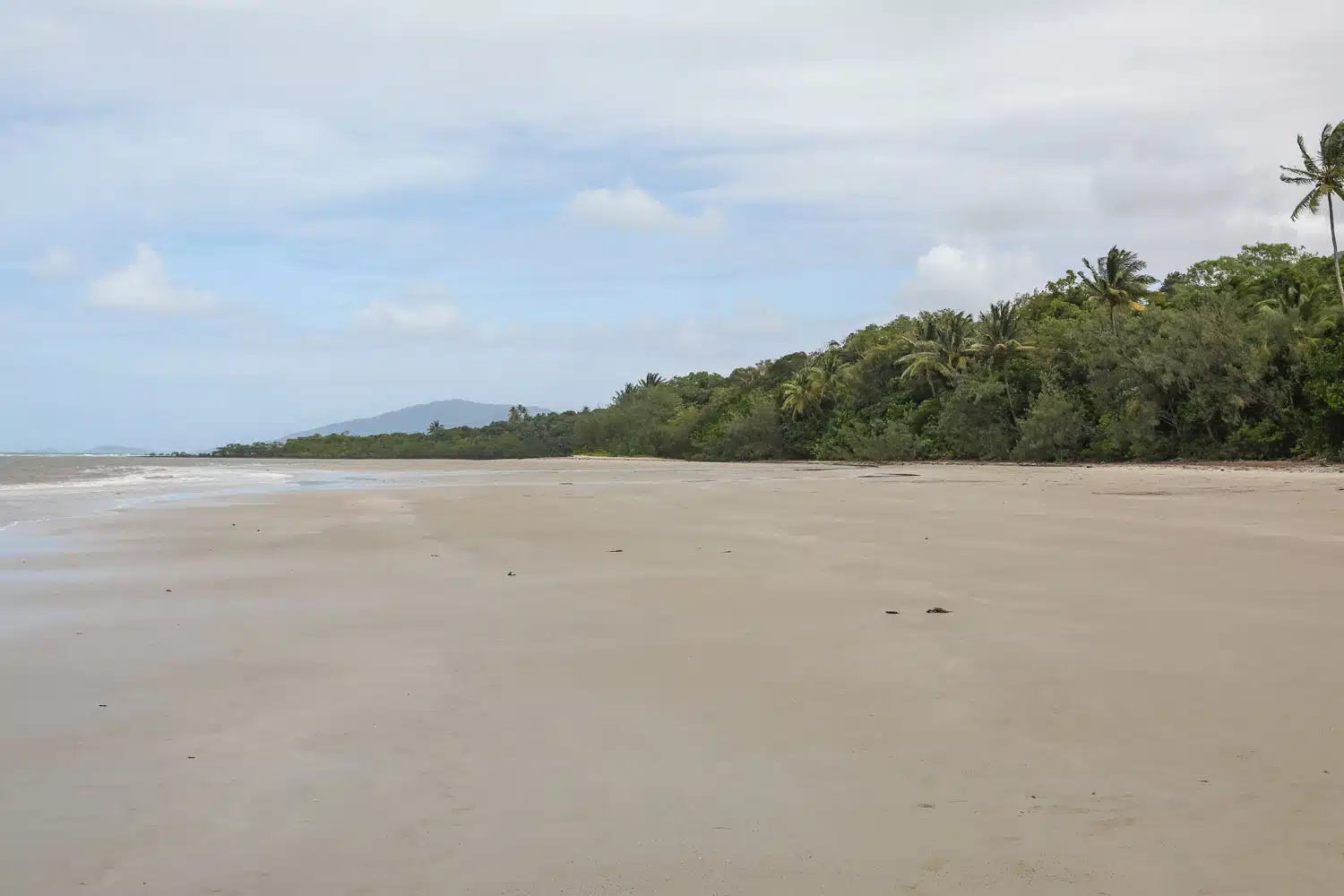 Myall Beach Daintree