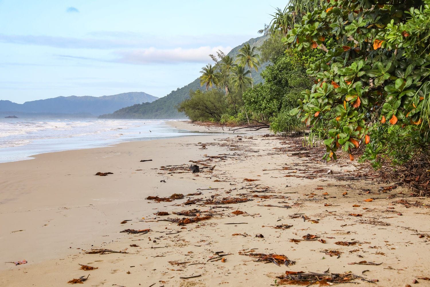 Noah Beach Daintree | Things to Do in Cairns