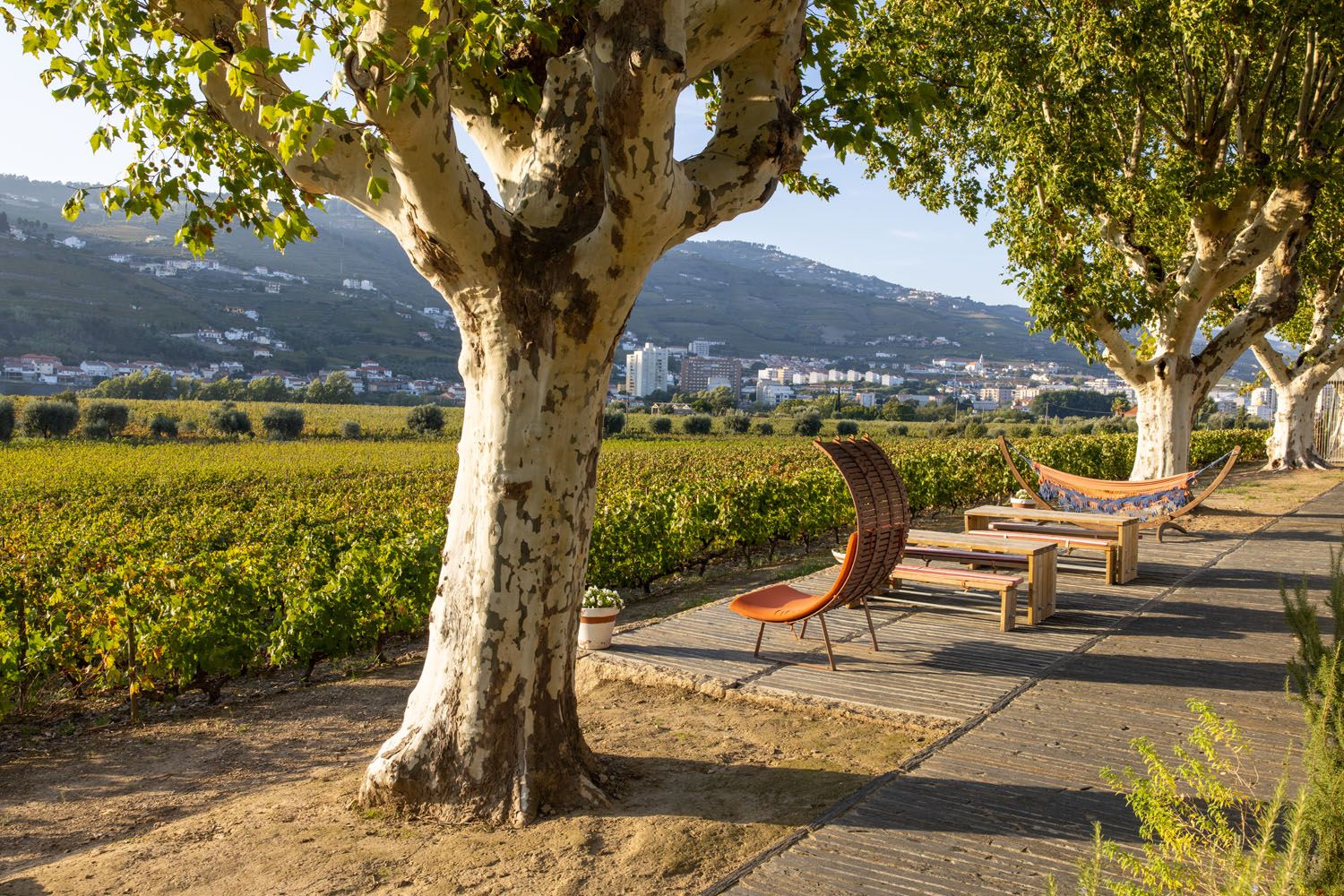 Quinta da Pacheca View