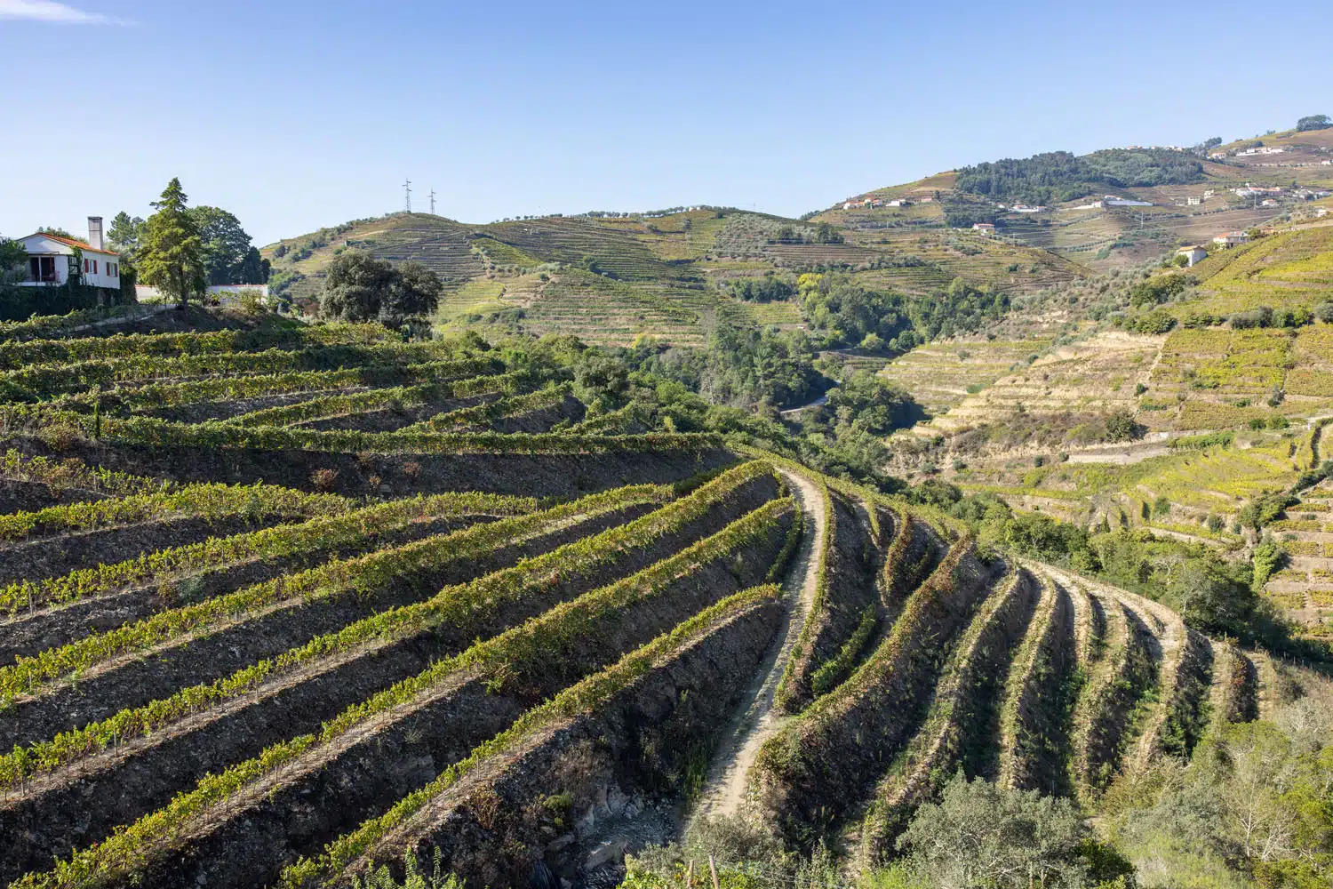 Quinta da Pousada View