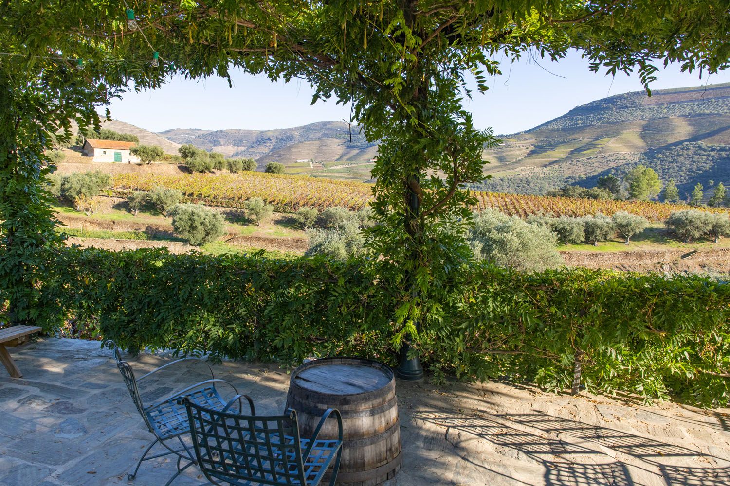 Quinta da Roeda Douro Valley | Best wineries in the Douro Valley