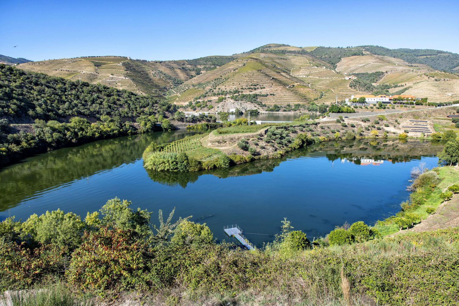 Quinta do Tedo Douro Valley | Best wineries in the Douro Valley