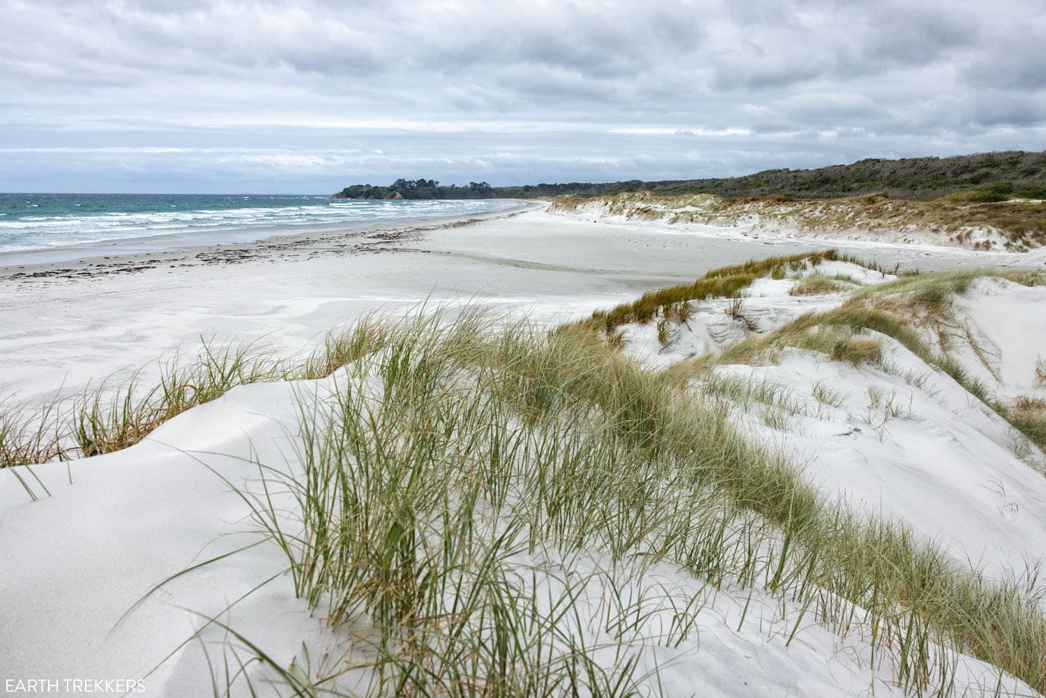 Rarawa Beach New Zealand | Northland, New Zealand