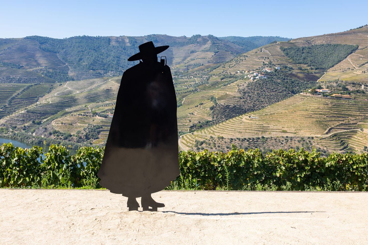 Sandeman Douro Valley | Best wineries in the Douro Valley