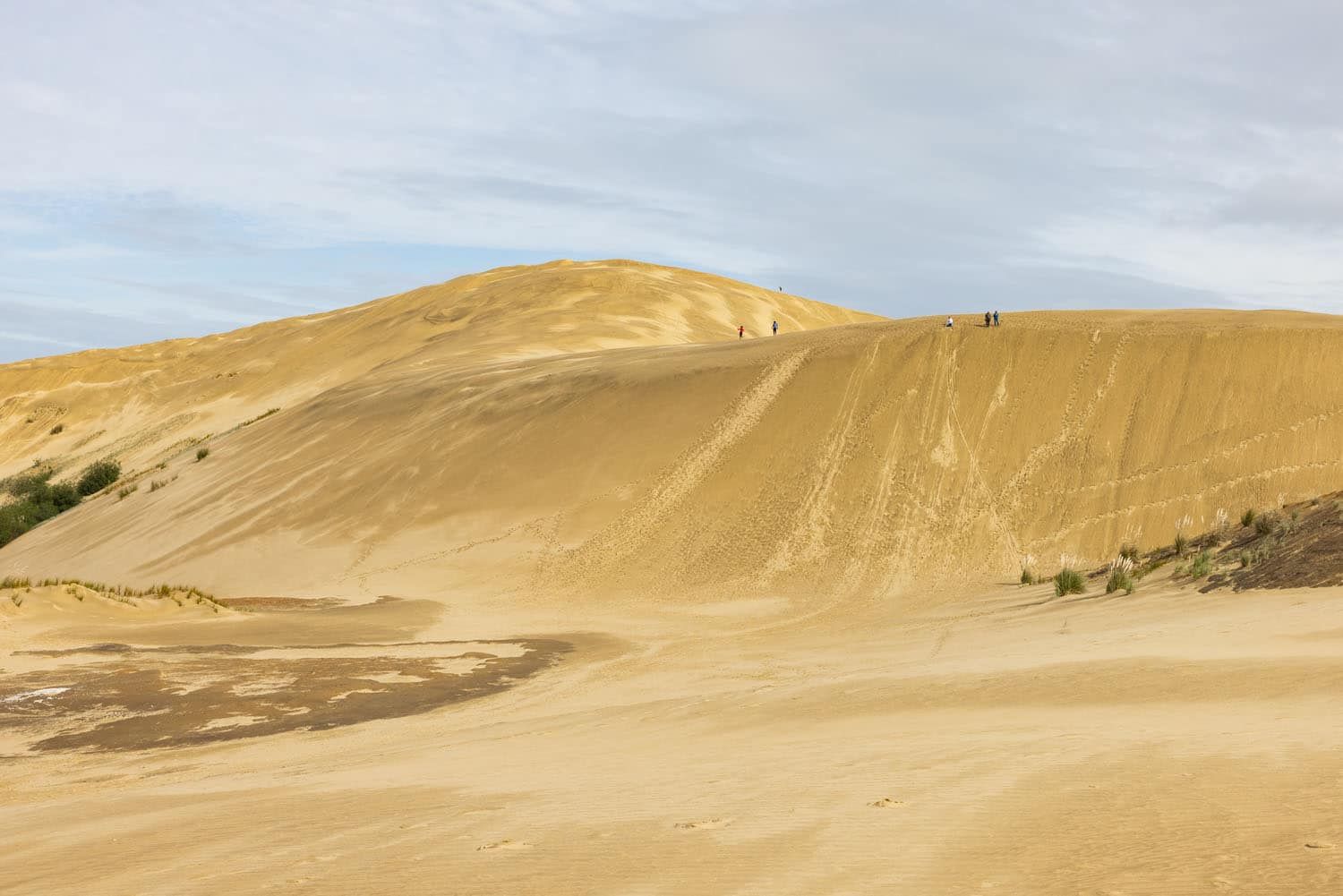 Te Paki Dunes