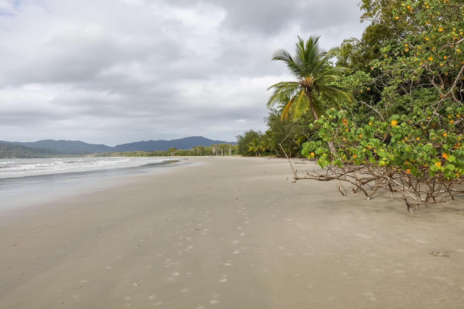 Thornton Beach Daintree