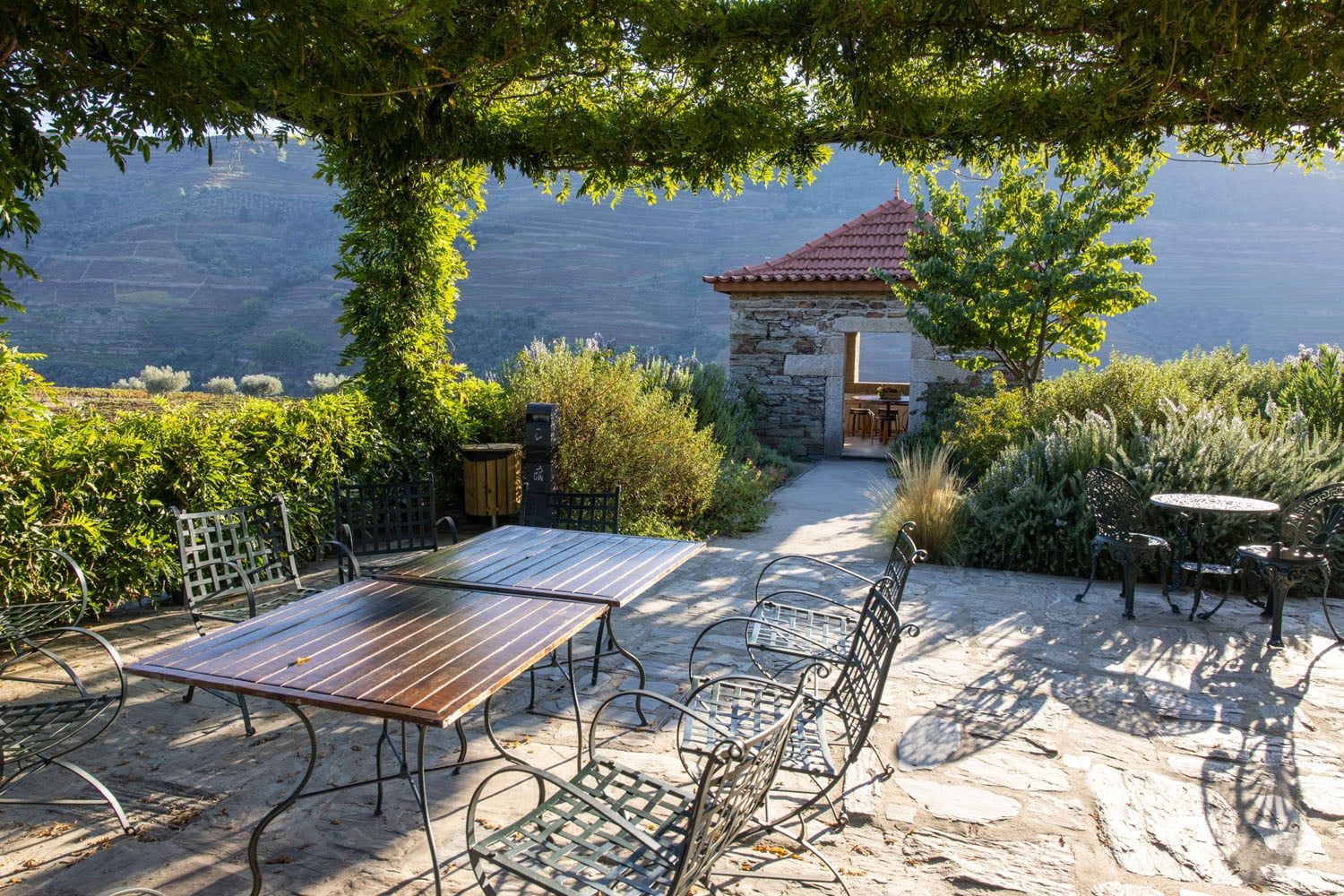 Wine Terrace Douro Valley
