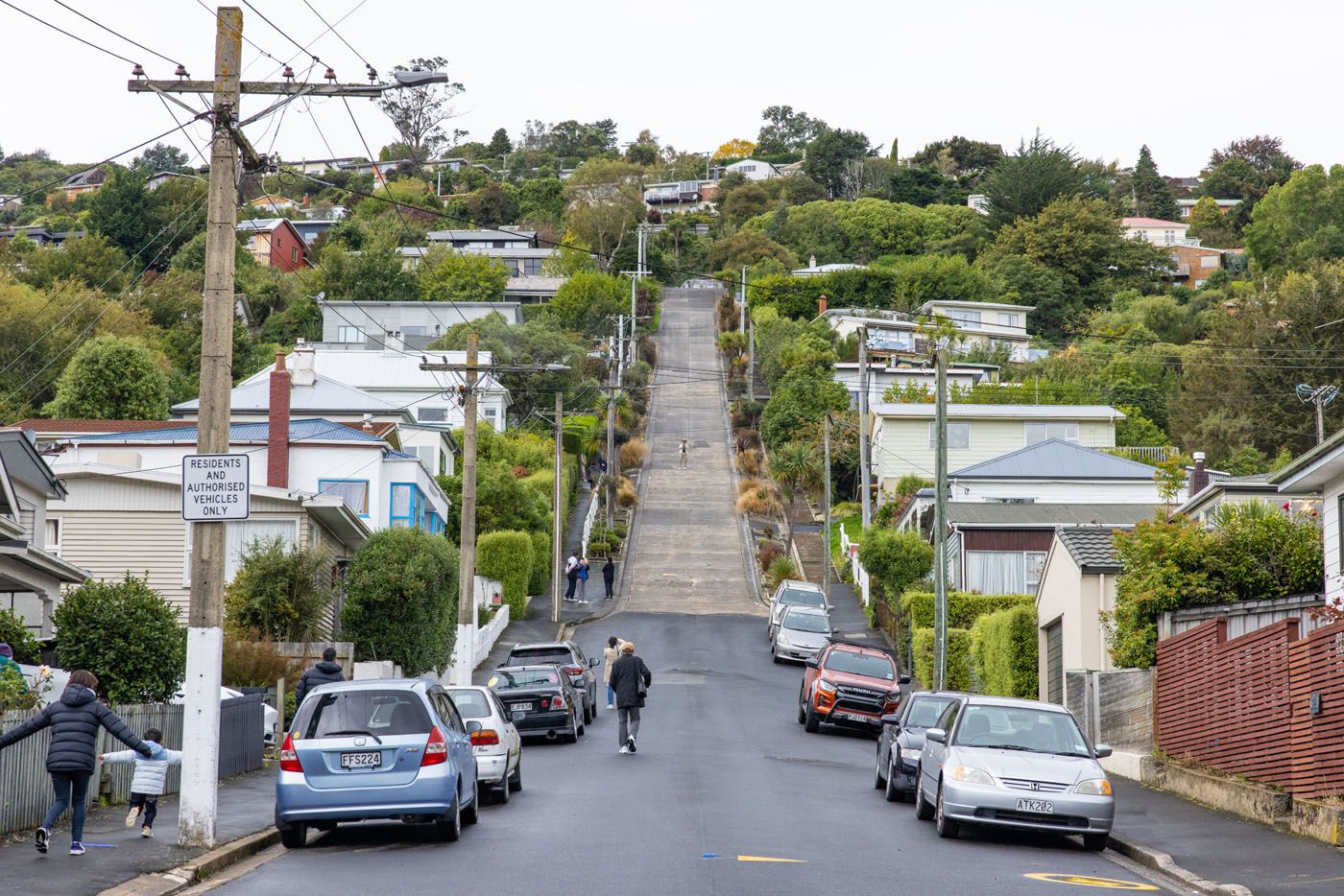 Baldwin Street Dunedin | Things to Do in Dunedin