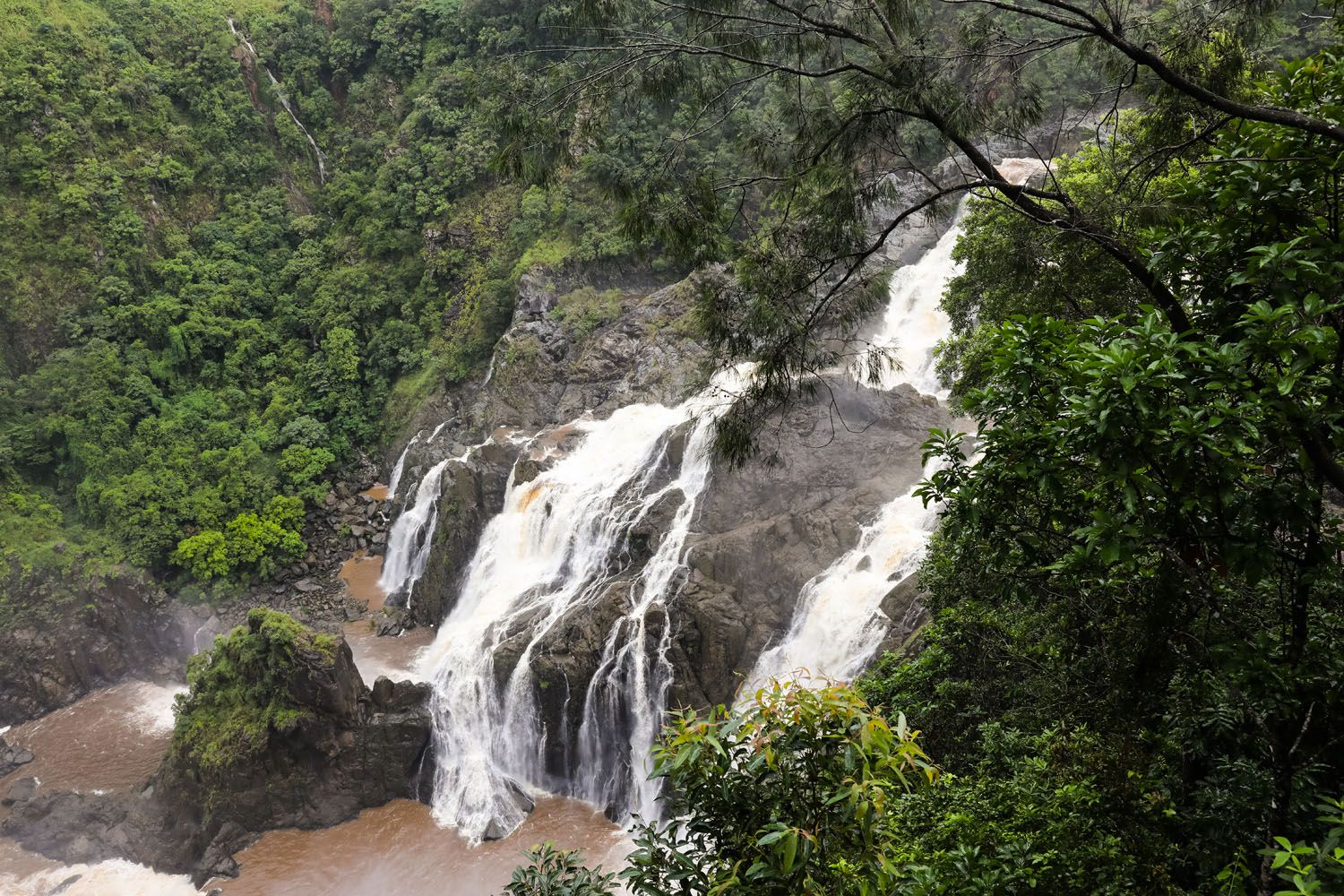 Barron Gorge | Things to Do in Cairns