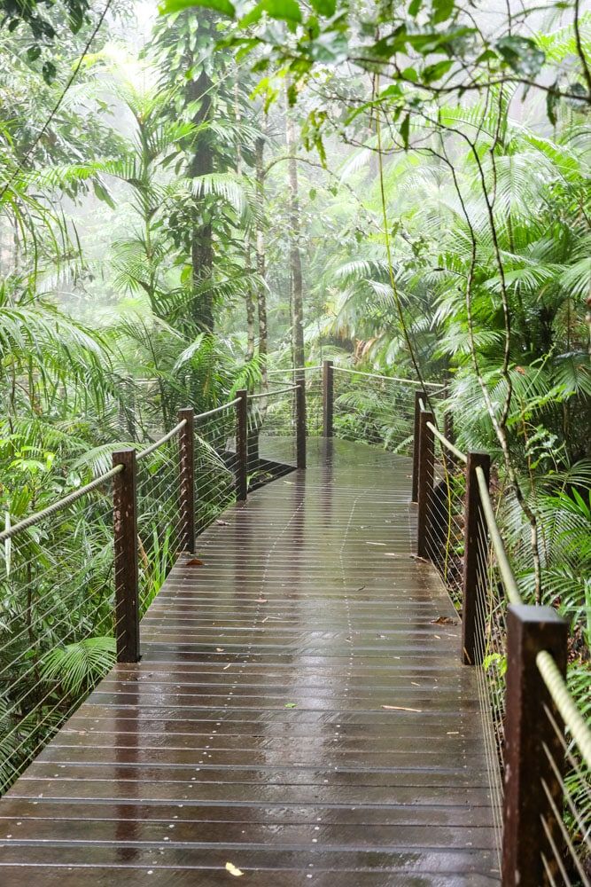 Cairns Botanic Gardens