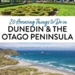 Dunedin Otago Peninsula New Zealand