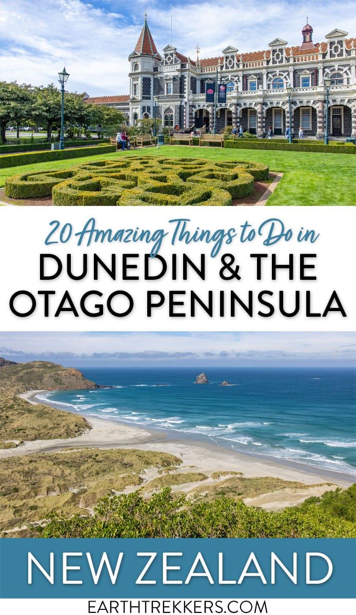 Dunedin Otago Peninsula New Zealand