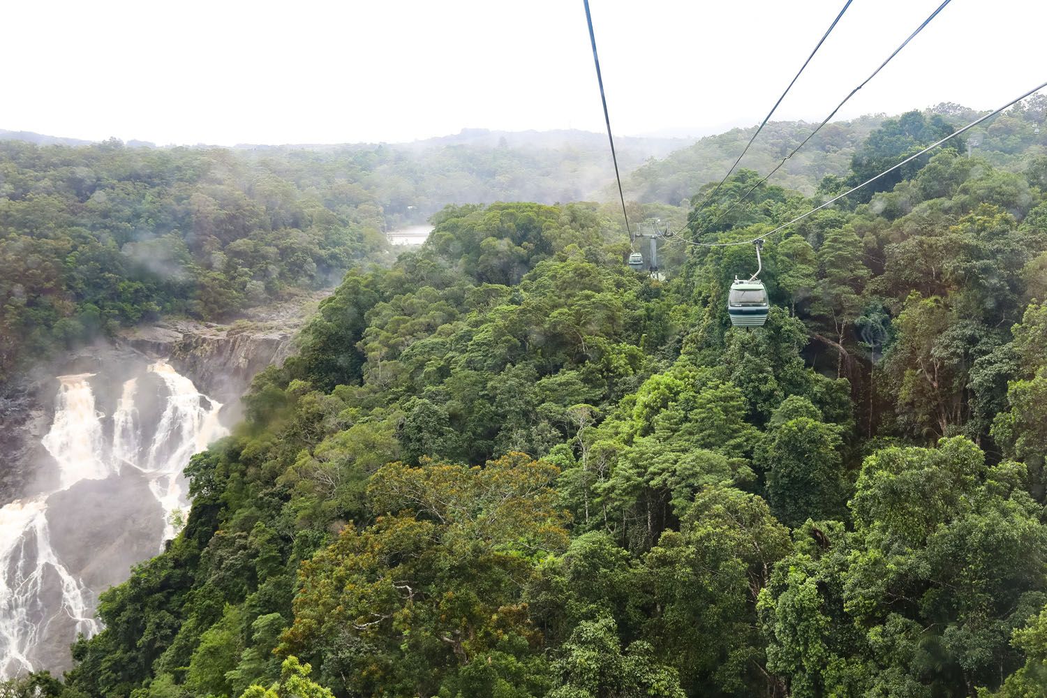 Kuranda Skyrail Rainforest Cableway | 5 Day Cairns Itinerary