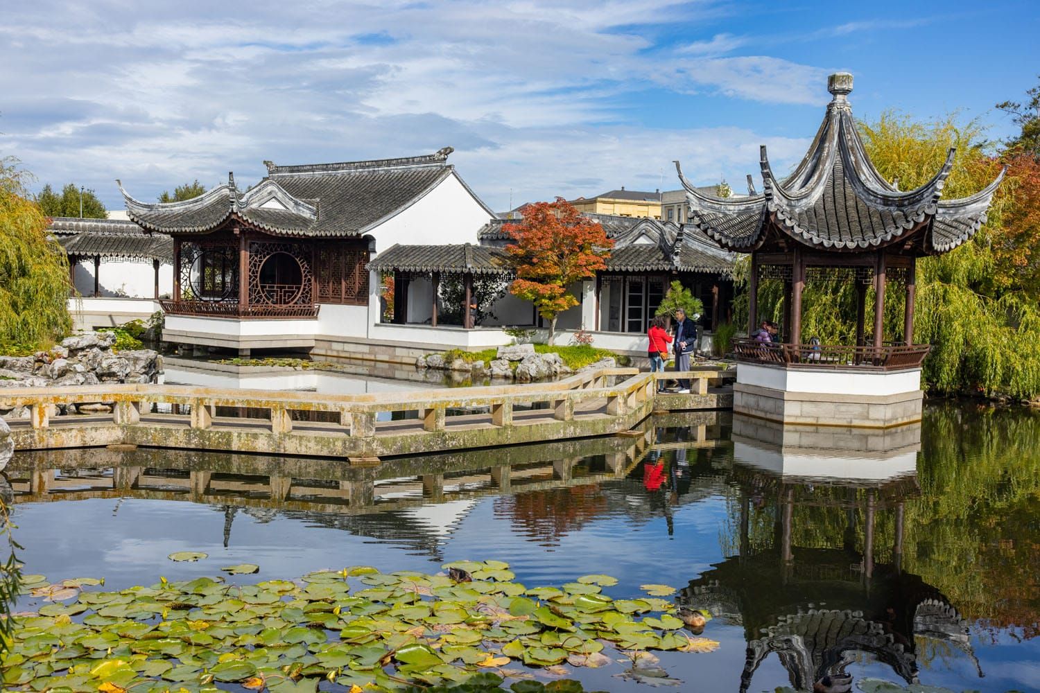 Lan Yuan Chinese Garden | Things to Do in Dunedin