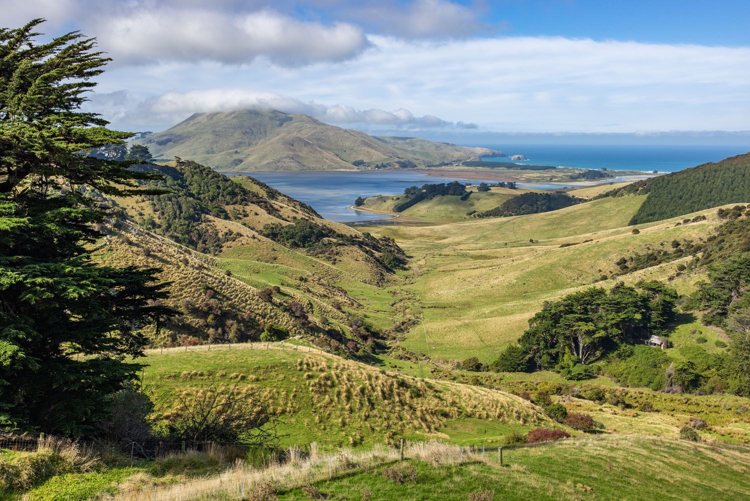 Otago Peninsula