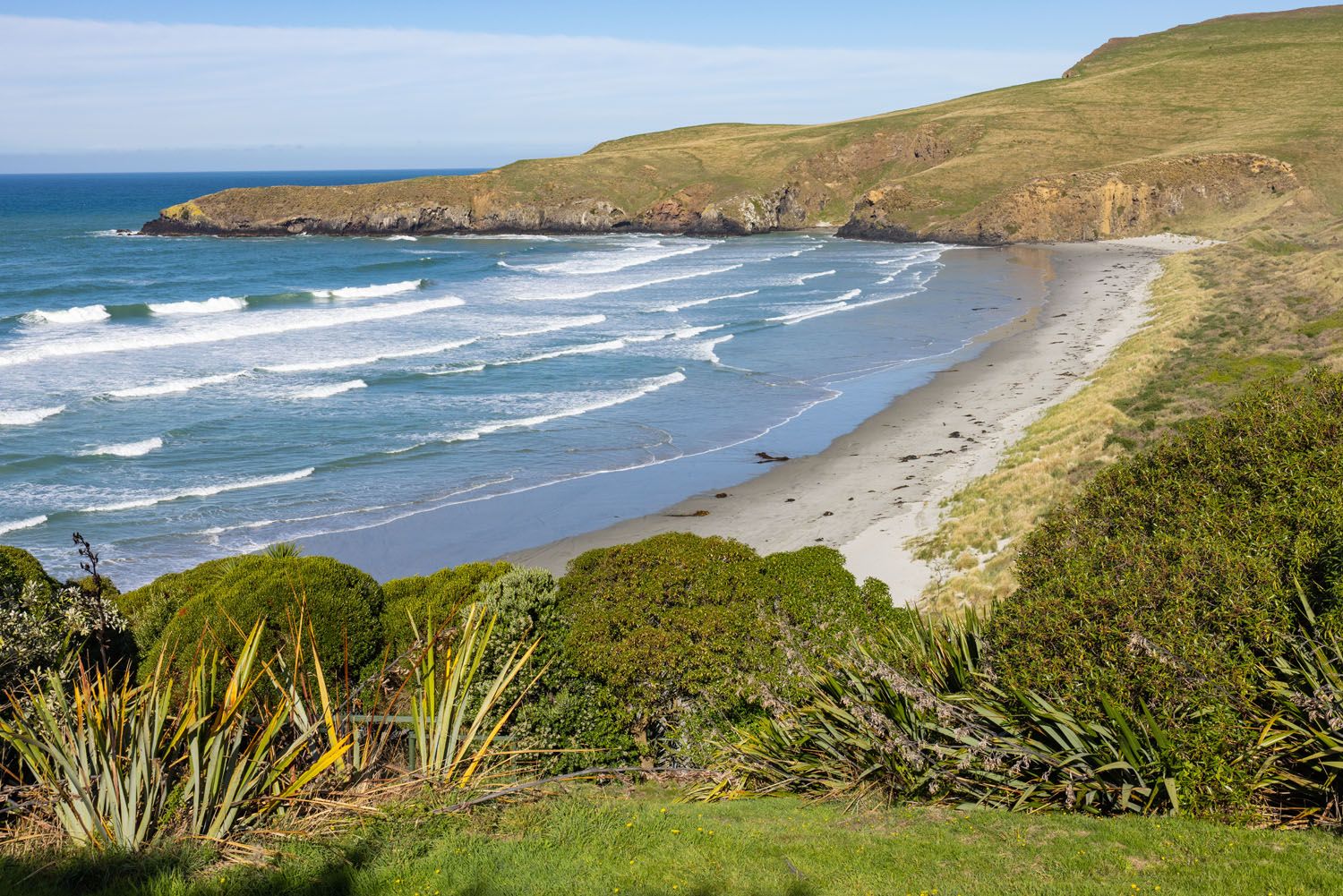 Penguin Place Beach | Otago Peninsula