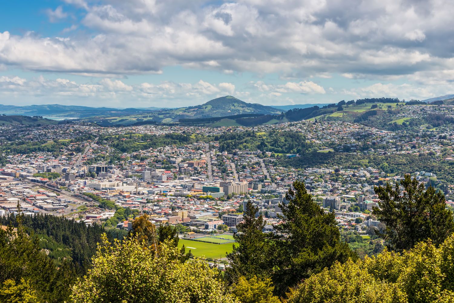 Signal Hill | Things to Do in Dunedin