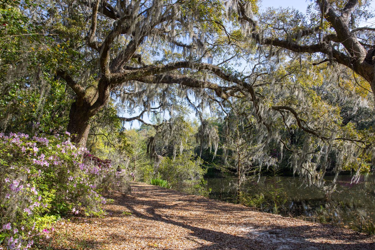 Charles Towne Landing Photo