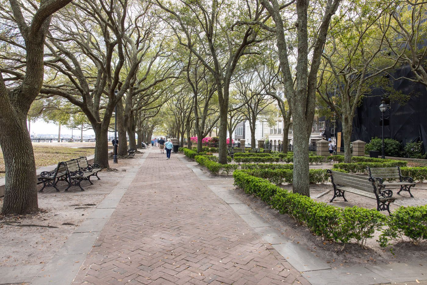 Joe Riley Waterfront Park | Best Things to Do in Charleston