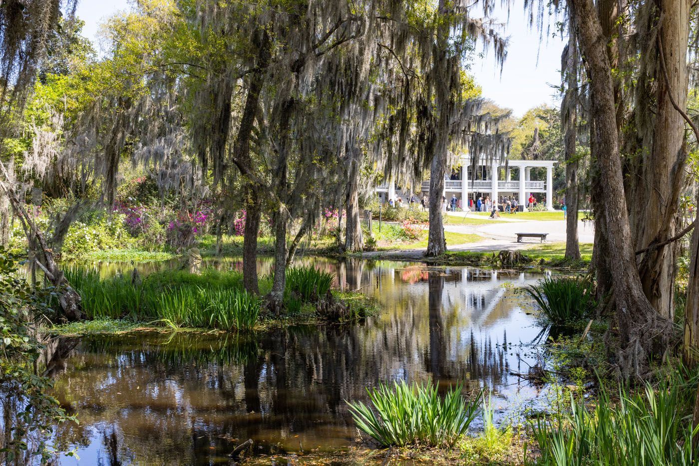 Magnolia Gardens Charleston