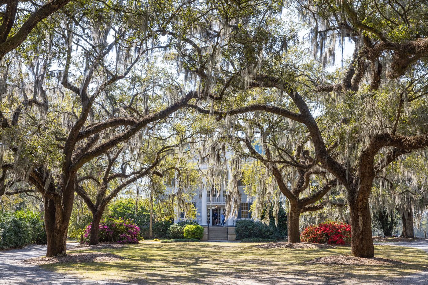 McLeod Plantation