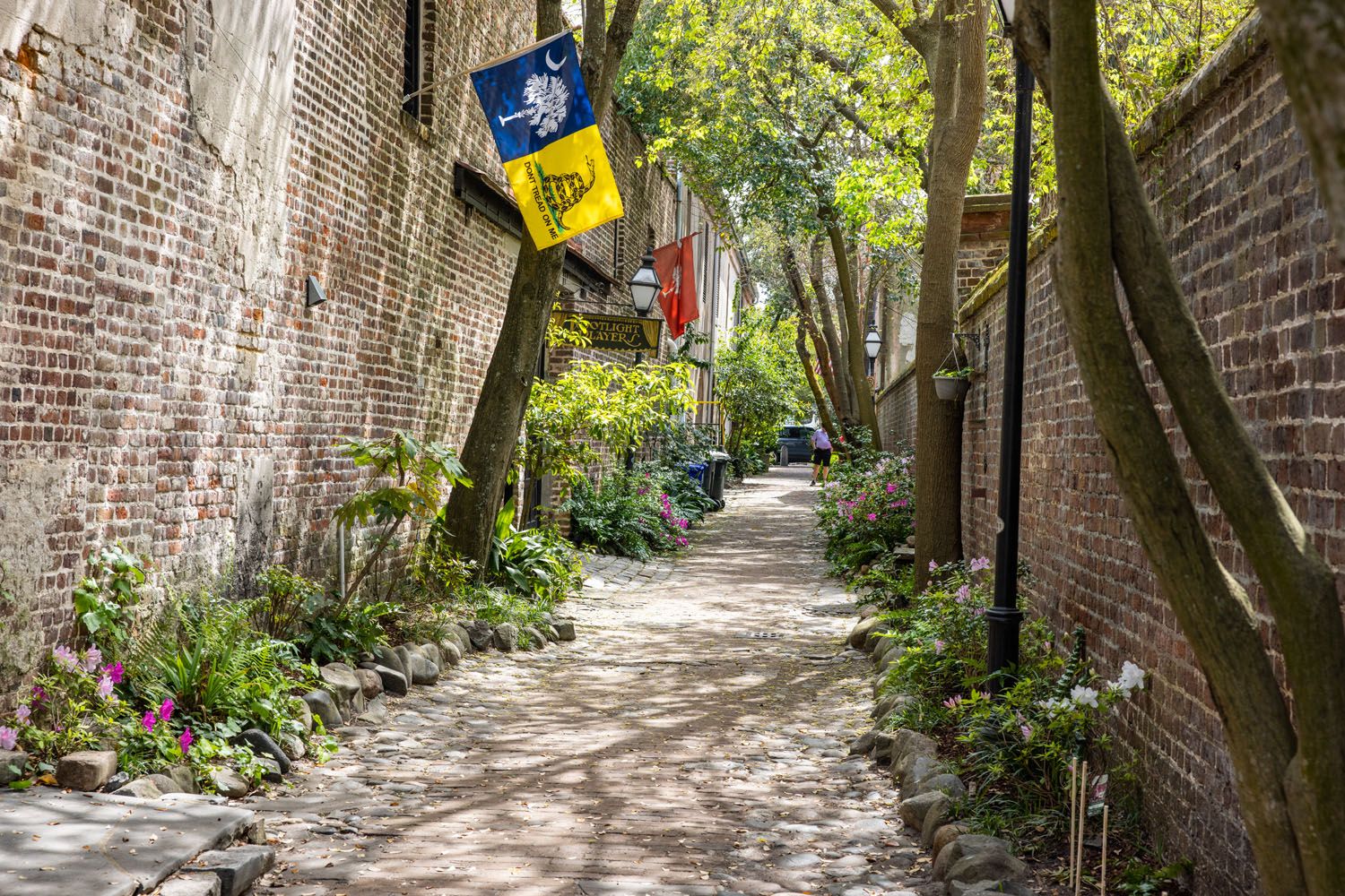 Philadelphia Alley Charleston | Best Things to Do in Charleston