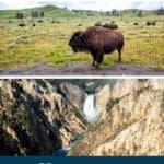 Yellowstone National Park Itinerary