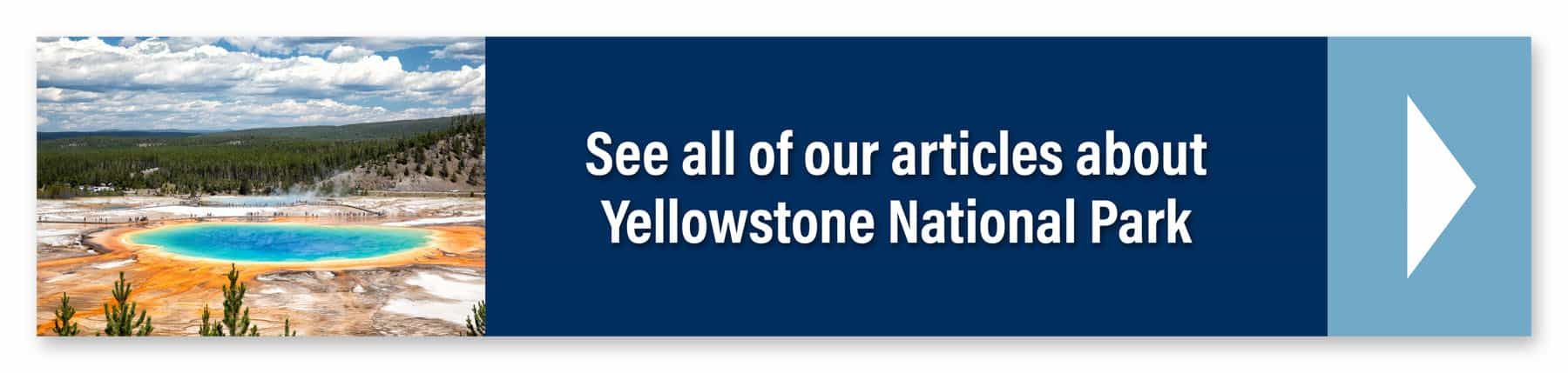 Yellowstone Travel Guide