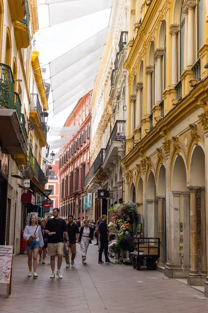 Seville City Center