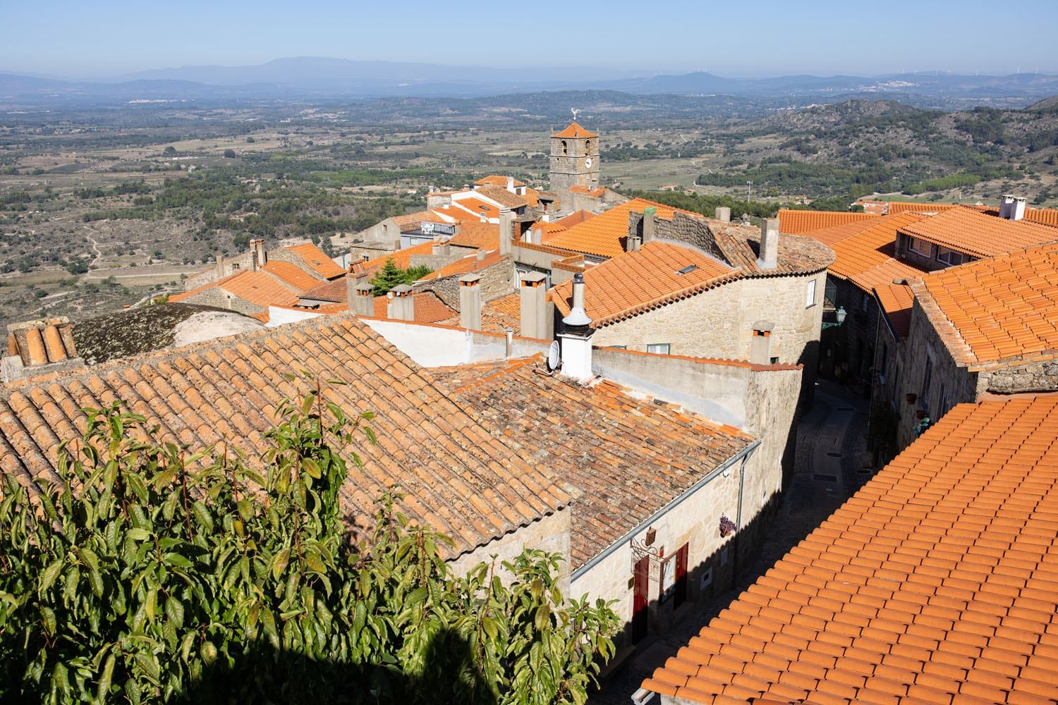 Tavern View