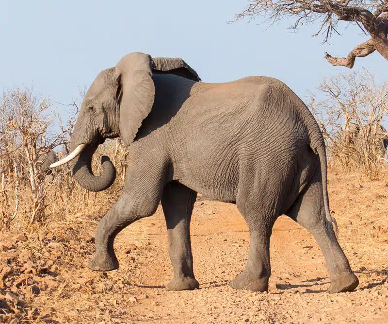 Botswana