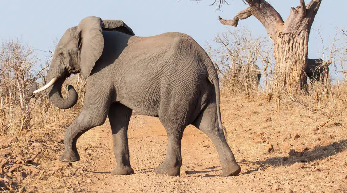 Botswana