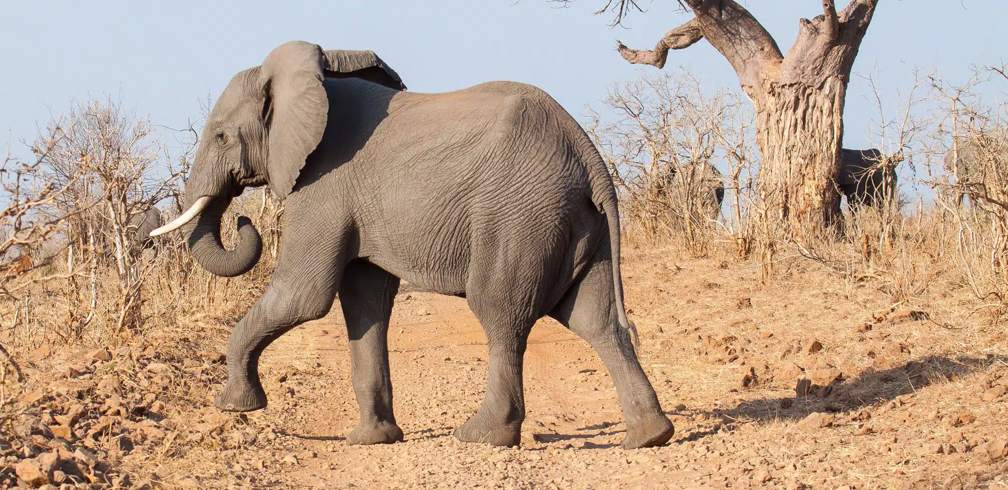 Botswana