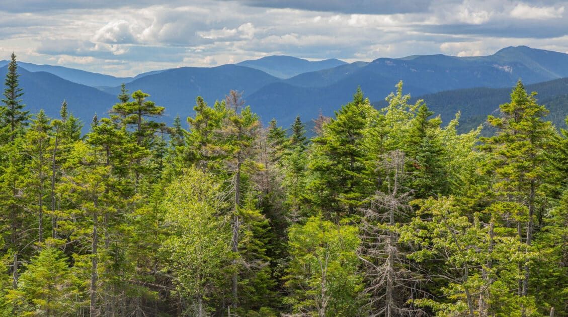 New Hampshire
