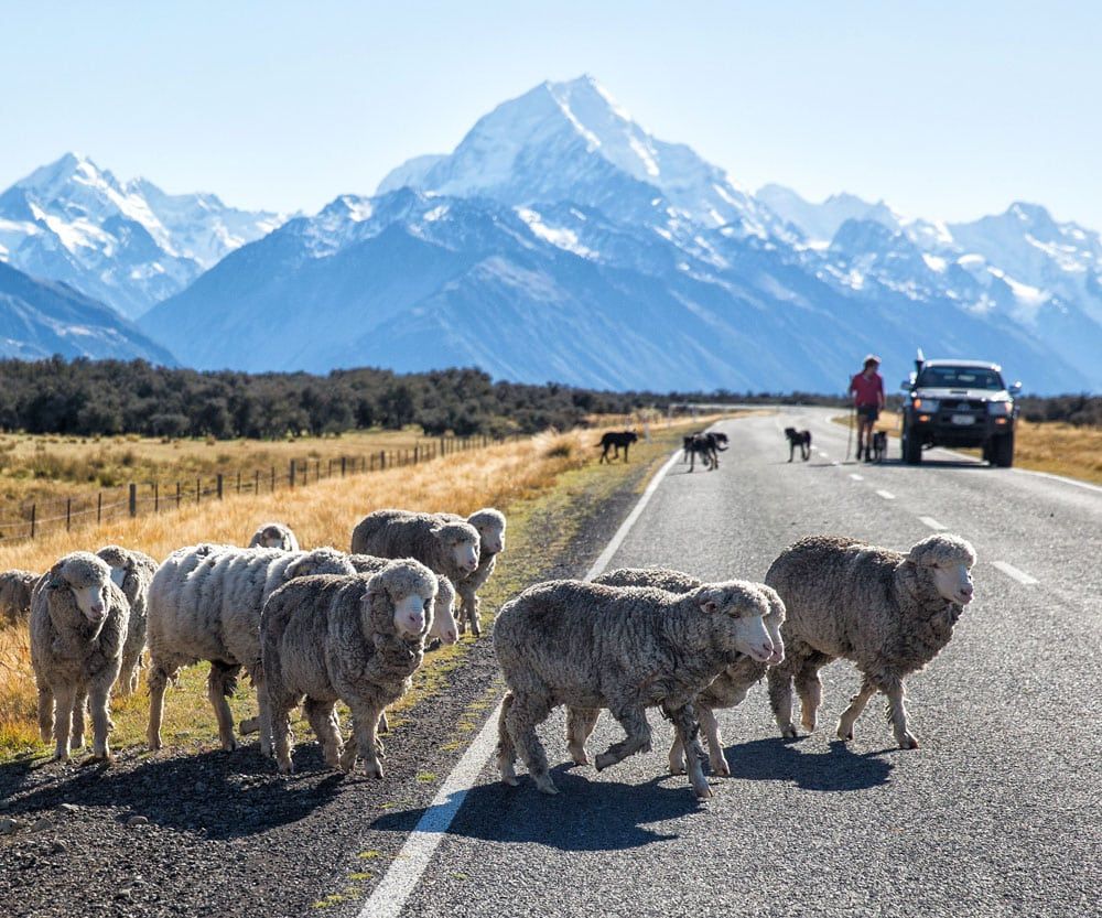 New Zealand