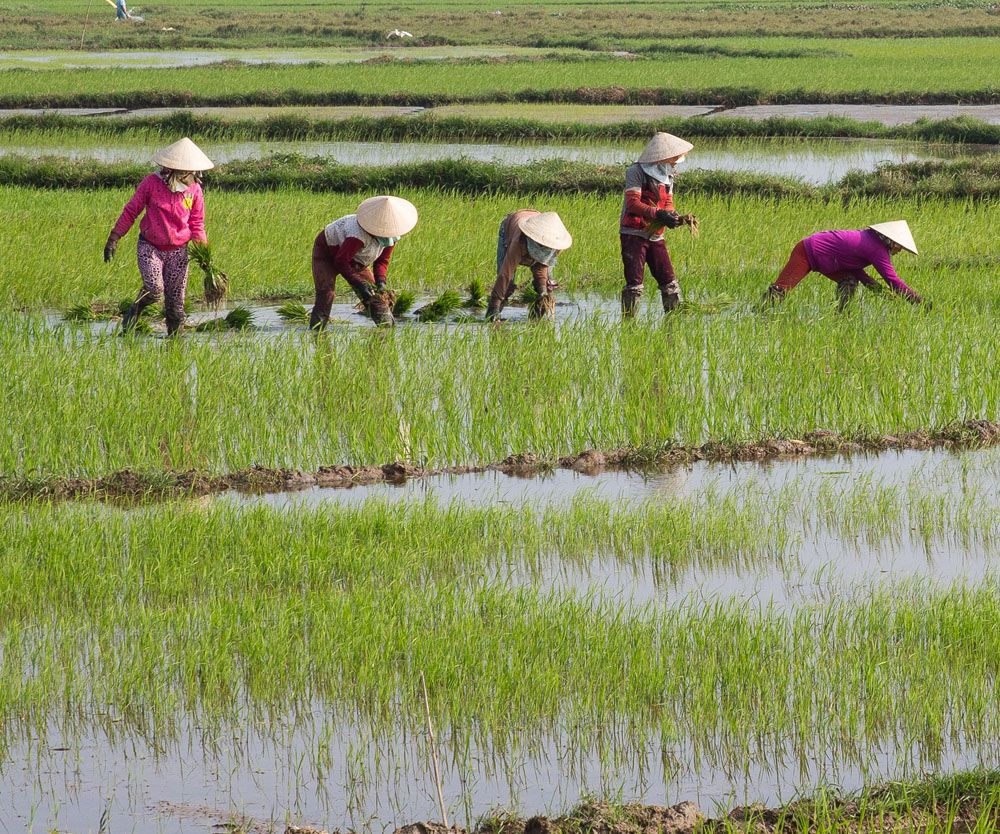 Vietnam