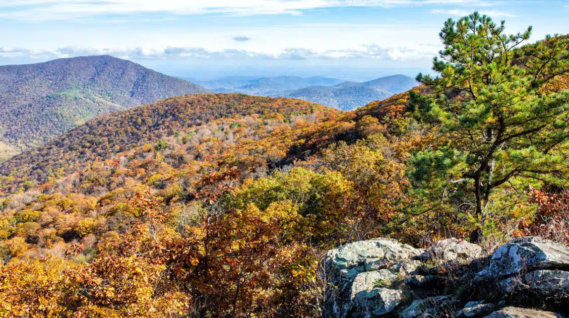 Virginia