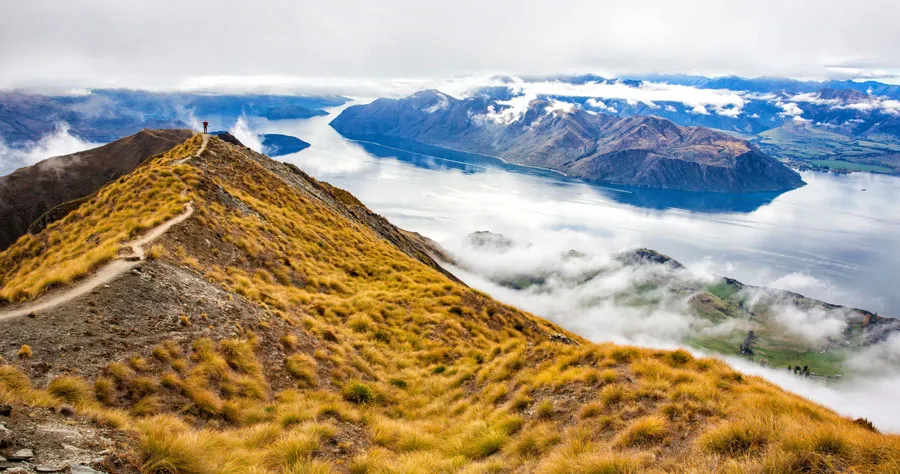 New Zealand