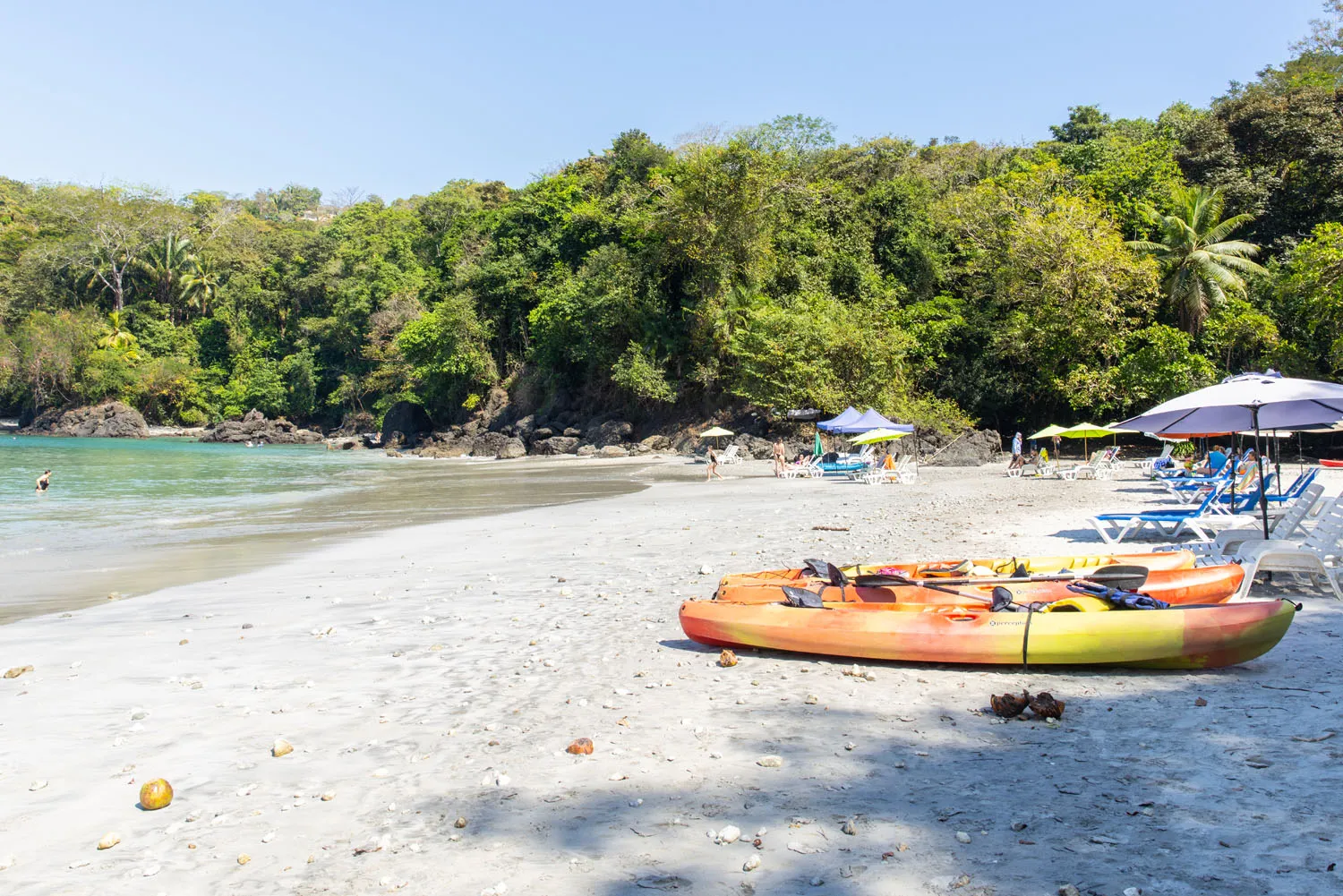 Biesanz Beach