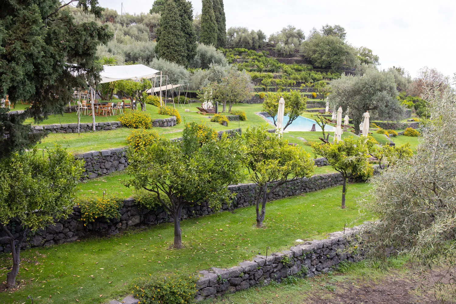 Monaci delle Terre Nere