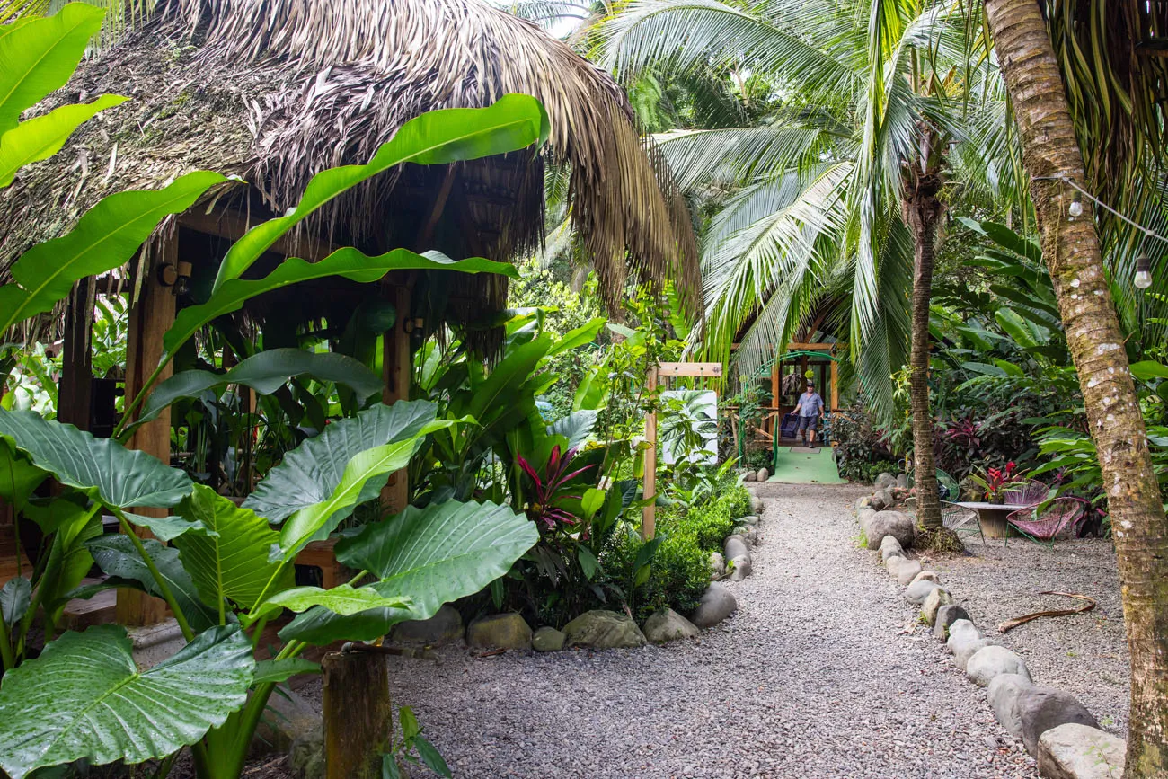 Nacarcosta Manuel Antonio